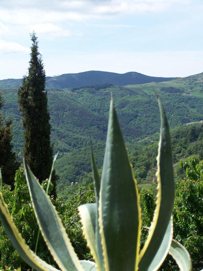 Gite De Chapeleche Les Chataigniers Gluiras Buitenkant foto